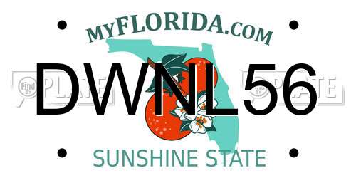 DWNL56 Florida License Plate