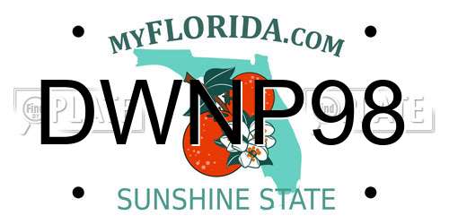 DWNP98 Florida License Plate