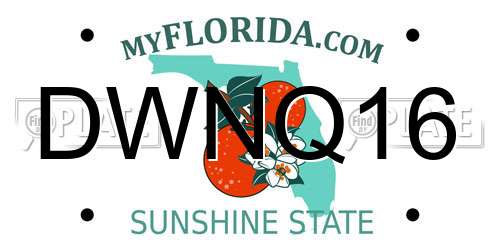 DWNQ16 Florida License Plate