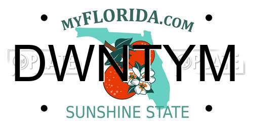 DWNTYM Florida License Plate