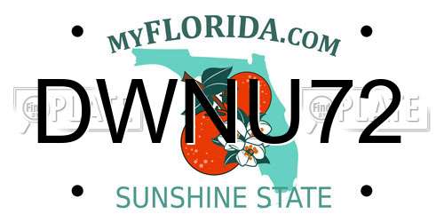 DWNU72 Florida License Plate