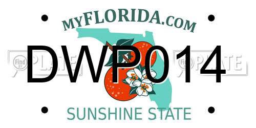 DWP014 Florida License Plate