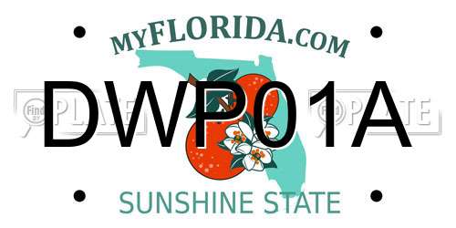 DWP01A Florida License Plate