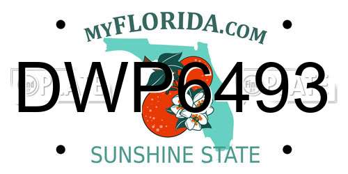 DWP6493 Florida License Plate