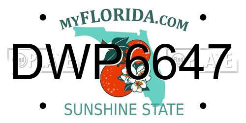 DWP6647 Florida License Plate
