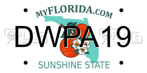DWPA19 Florida License Plate