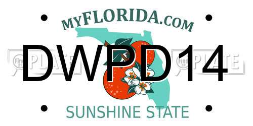 DWPD14 Florida License Plate