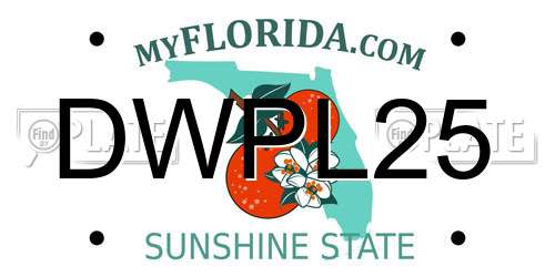 DWPL25 Florida License Plate
