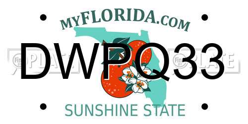 DWPQ33 Florida License Plate
