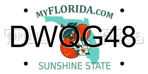 DWQG48 Florida License Plate