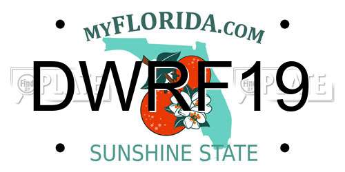 DWRF19 Florida License Plate