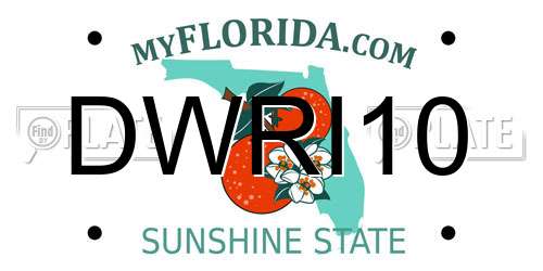 DWRI10 Florida License Plate