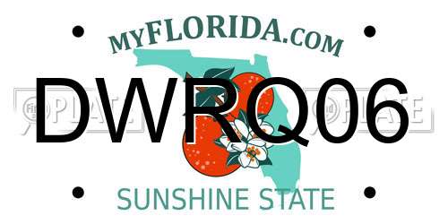 DWRQ06 Florida License Plate