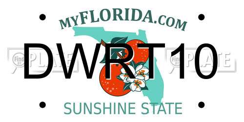DWRT10 Florida License Plate