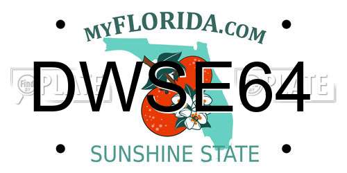 DWSE64 Florida License Plate