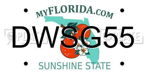 DWSG55 Florida License Plate