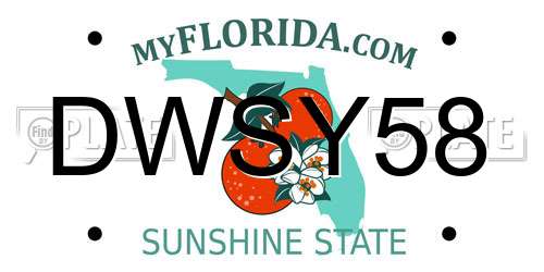 DWSY58 Florida License Plate