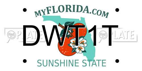 DWT1T Florida License Plate