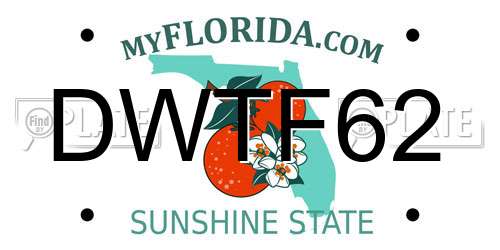 DWTF62 Florida License Plate