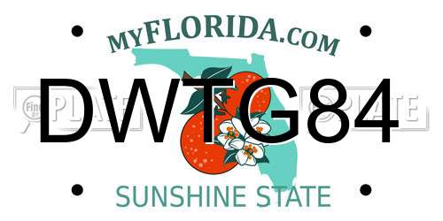 DWTG84 Florida License Plate