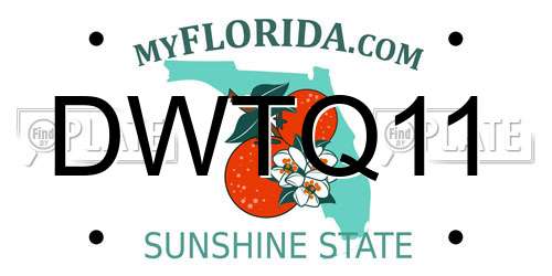 DWTQ11 Florida License Plate