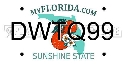 DWTQ99 Florida License Plate