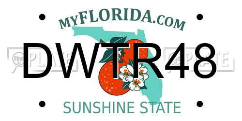 DWTR48 Florida License Plate