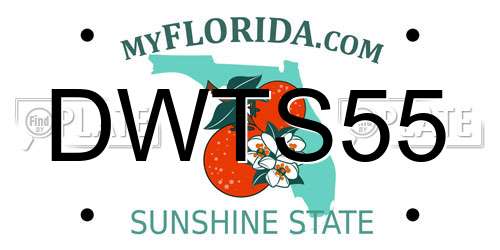DWTS55 Florida License Plate