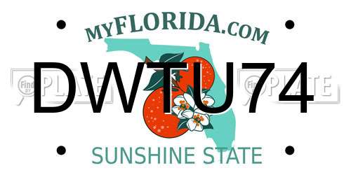 DWTU74 Florida License Plate