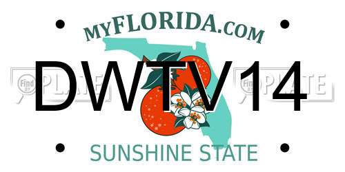 DWTV14 Florida License Plate
