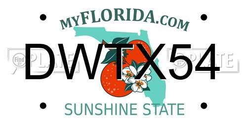 DWTX54 Florida License Plate