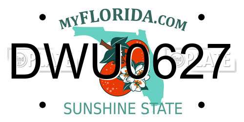 DWU0627 Florida License Plate