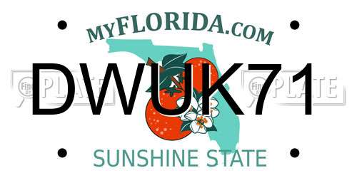 DWUK71 Florida License Plate