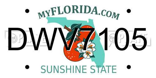 DWV7105 Florida License Plate
