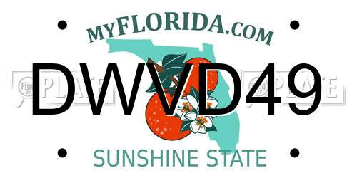 DWVD49 Florida License Plate