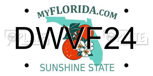DWVF24 Florida License Plate
