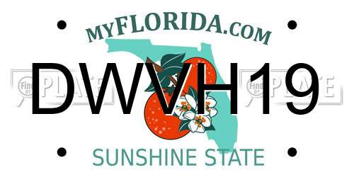 DWVH19 Florida License Plate