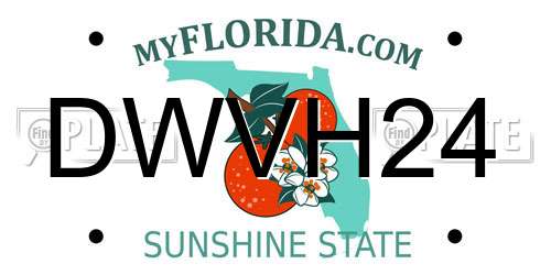 DWVH24 Florida License Plate