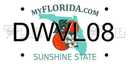 DWVL08 Florida License Plate