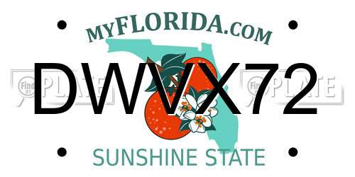DWVX72 Florida License Plate