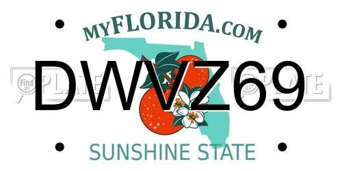 DWVZ69 Florida License Plate