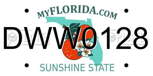 DWW0128 Florida License Plate