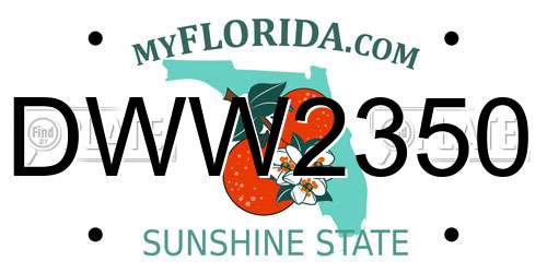 DWW2350 Florida License Plate