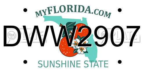 DWW2907 Florida License Plate