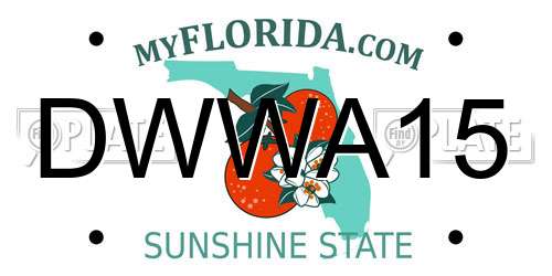 DWWA15 Florida License Plate