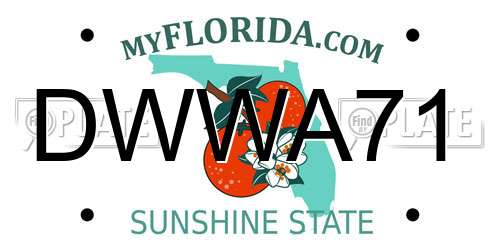 DWWA71 Florida License Plate