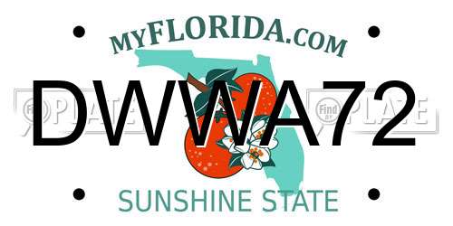 DWWA72 Florida License Plate