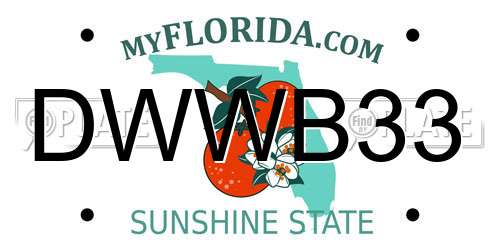 DWWB33 Florida License Plate