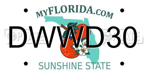 DWWD30 Florida License Plate