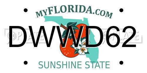 DWWD62 Florida License Plate